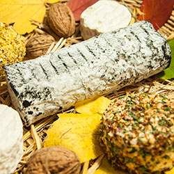 Fromages de chèvres de la ferme du Pic Saint Michel dans le vercors