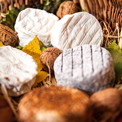 Fromages de chèvres de la ferme du Pic Saint Michel dans le vercors